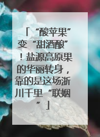 “酸苹果”变“甜酒酿”！盐源高原果的华丽转身，靠的是这场浙川千里“联姻”