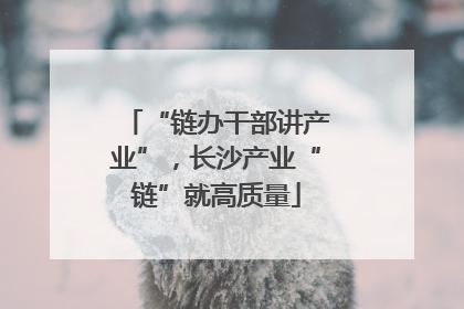 “链办干部讲产业”，长沙产业“链”就高质量