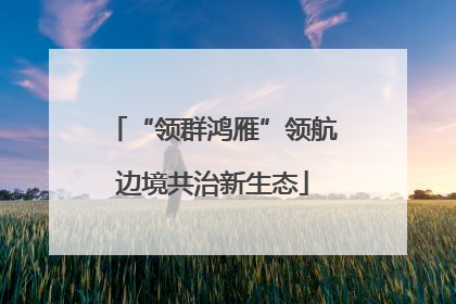 “领群鸿雁”领航边境共治新生态