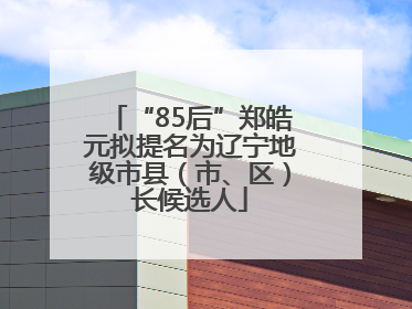 “85后”郑皓元拟提名为辽宁地级市县（市、区）长候选人