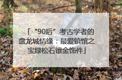 “90后”考古学者的盘龙城情缘：最爱镇馆之宝绿松石镶金饰件
