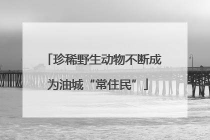 珍稀野生动物不断成为油城“常住民”