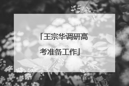 王宗华调研高考准备工作