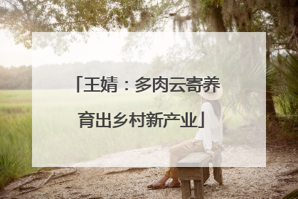 王婧：多肉云寄养 育出乡村新产业