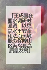 王成国在丽水调研时强调：以更高水平安全和法治环境服务保障山区海岛县高质量发展
