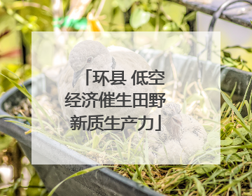 环县 低空经济催生田野新质生产力