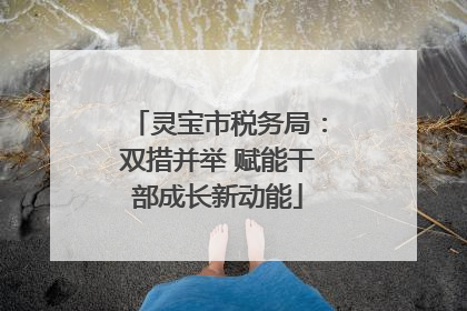 灵宝市税务局：双措并举 赋能干部成长新动能