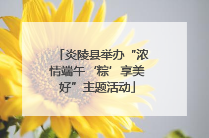 炎陵县举办“浓情端午‘粽’享美好”主题活动