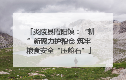 炎陵县霞阳镇：“耕”新聚力护粮仓 筑牢粮食安全“压舱石”