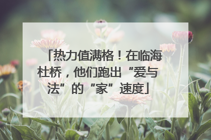 热力值满格！在临海杜桥，他们跑出“爱与法”的“家”速度