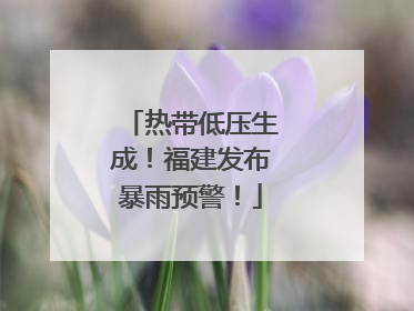 热带低压生成！福建发布暴雨预警！
