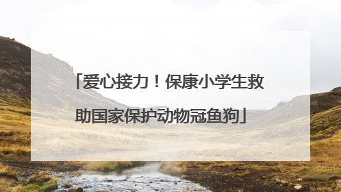 爱心接力！保康小学生救助国家保护动物冠鱼狗