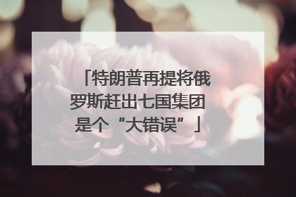 特朗普再提将俄罗斯赶出七国集团是个“大错误”