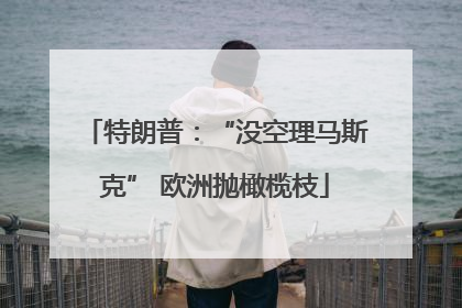 特朗普：“没空理马斯克” 欧洲抛橄榄枝