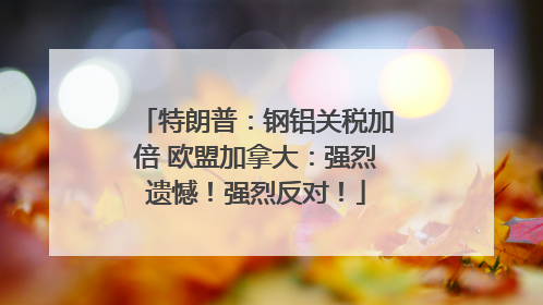特朗普：钢铝关税加倍 欧盟加拿大：强烈遗憾！强烈反对！