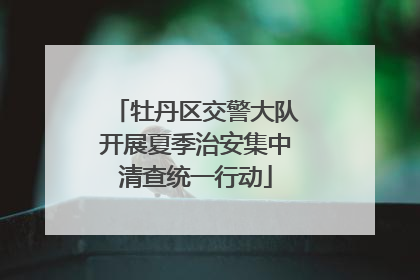 牡丹区交警大队开展夏季治安集中清查统一行动