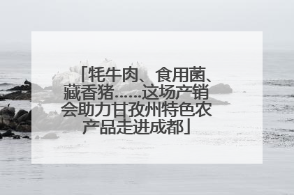 牦牛肉、食用菌、藏香猪……这场产销会助力甘孜州特色农产品走进成都