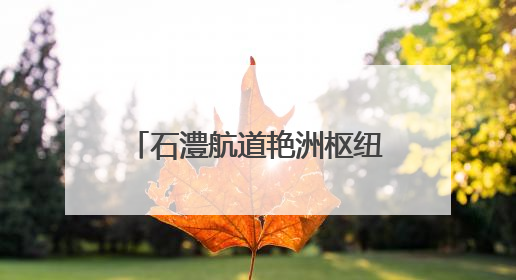 石澧航道艳洲枢纽船闸工程迎新进展