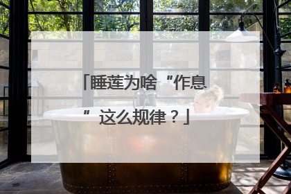 睡莲为啥“作息”这么规律？