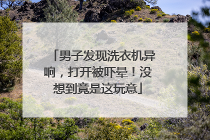男子发现洗衣机异响，打开被吓晕！没想到竟是这玩意