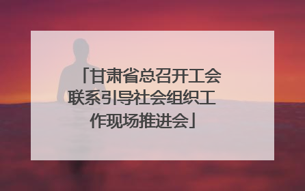 甘肃省总召开工会联系引导社会组织工作现场推进会