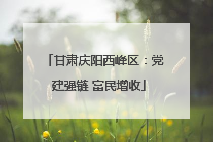 甘肃庆阳西峰区：党建强链 富民增收