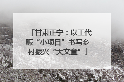 甘肃正宁：以工代赈“小项目”书写乡村振兴“大文章”