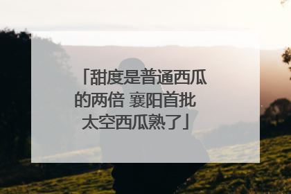 甜度是普通西瓜的两倍 襄阳首批太空西瓜熟了