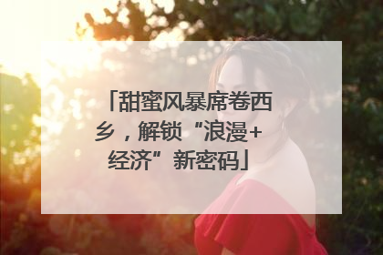 甜蜜风暴席卷西乡，解锁“浪漫+经济”新密码