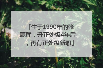 生于1990年的张宸珲，升正处级4年后，再有正处级新职