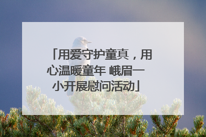 用爱守护童真，用心温暖童年 峨眉一小开展慰问活动