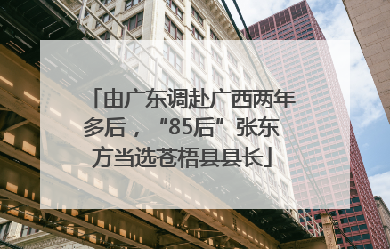 由广东调赴广西两年多后，“85后”张东方当选苍梧县县长