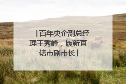 百年央企副总经理王秀峰，履新直辖市副市长