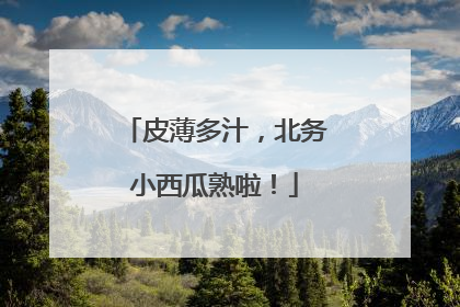 皮薄多汁，北务小西瓜熟啦！