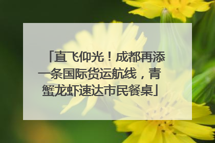 直飞仰光！成都再添一条国际货运航线，青蟹龙虾速达市民餐桌