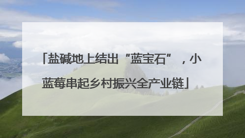 盐碱地上结出“蓝宝石”，小蓝莓串起乡村振兴全产业链
