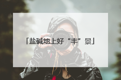 盐碱地上好“丰”景