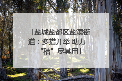 盐城盐都区盐渎街道：多措并举 助力“秸”尽其用