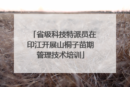 省级科技特派员在印江开展山桐子苗期管理技术培训