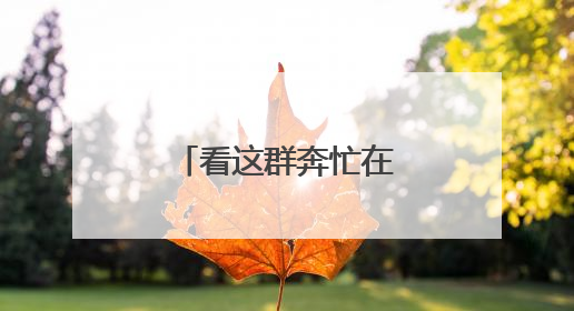 看这群奔忙在城市“静脉”的劳动者（图）