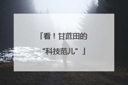 看！甘蔗田的“科技范儿”