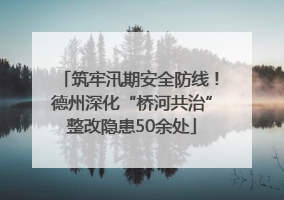 筑牢汛期安全防线！德州深化“桥河共治”整改隐患50余处
