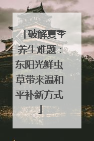 破解夏季养生难题：东阳光鲜虫草带来温和平补新方式