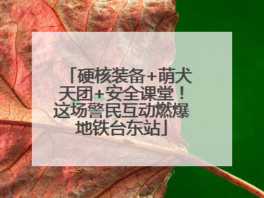 硬核装备+萌犬天团+安全课堂！这场警民互动燃爆地铁台东站