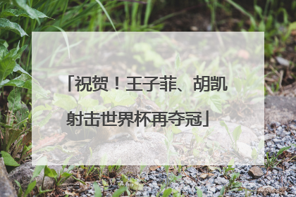 祝贺！王子菲、胡凯射击世界杯再夺冠