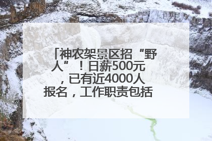 神农架景区招“野人”！日薪500元，已有近4000人报名，工作职责包括“接受游客投喂”