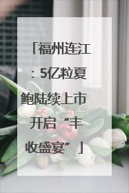 福州连江：5亿粒夏鲍陆续上市 开启“丰收盛宴”