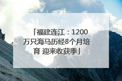 福建连江：1200万只海马历经8个月培育 迎来收获季