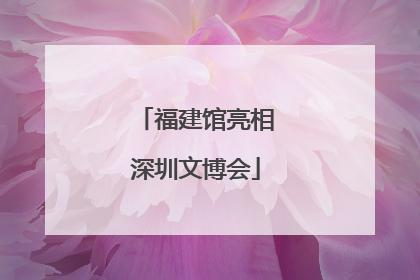 福建馆亮相深圳文博会