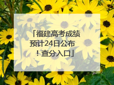 福建高考成绩预计24日公布！查分入口
